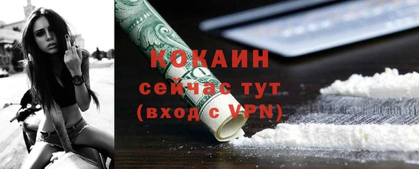 твердый Аркадак