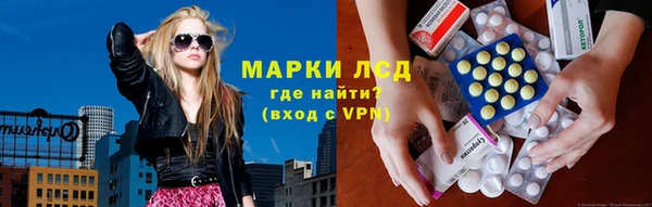 твердый Аркадак