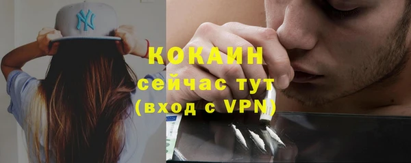 твердый Аркадак